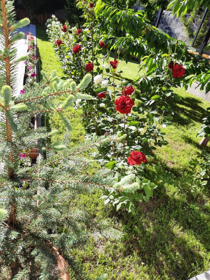 Cherry Garden Boutique Hotel Yeghegnadzor Zewnętrze zdjęcie