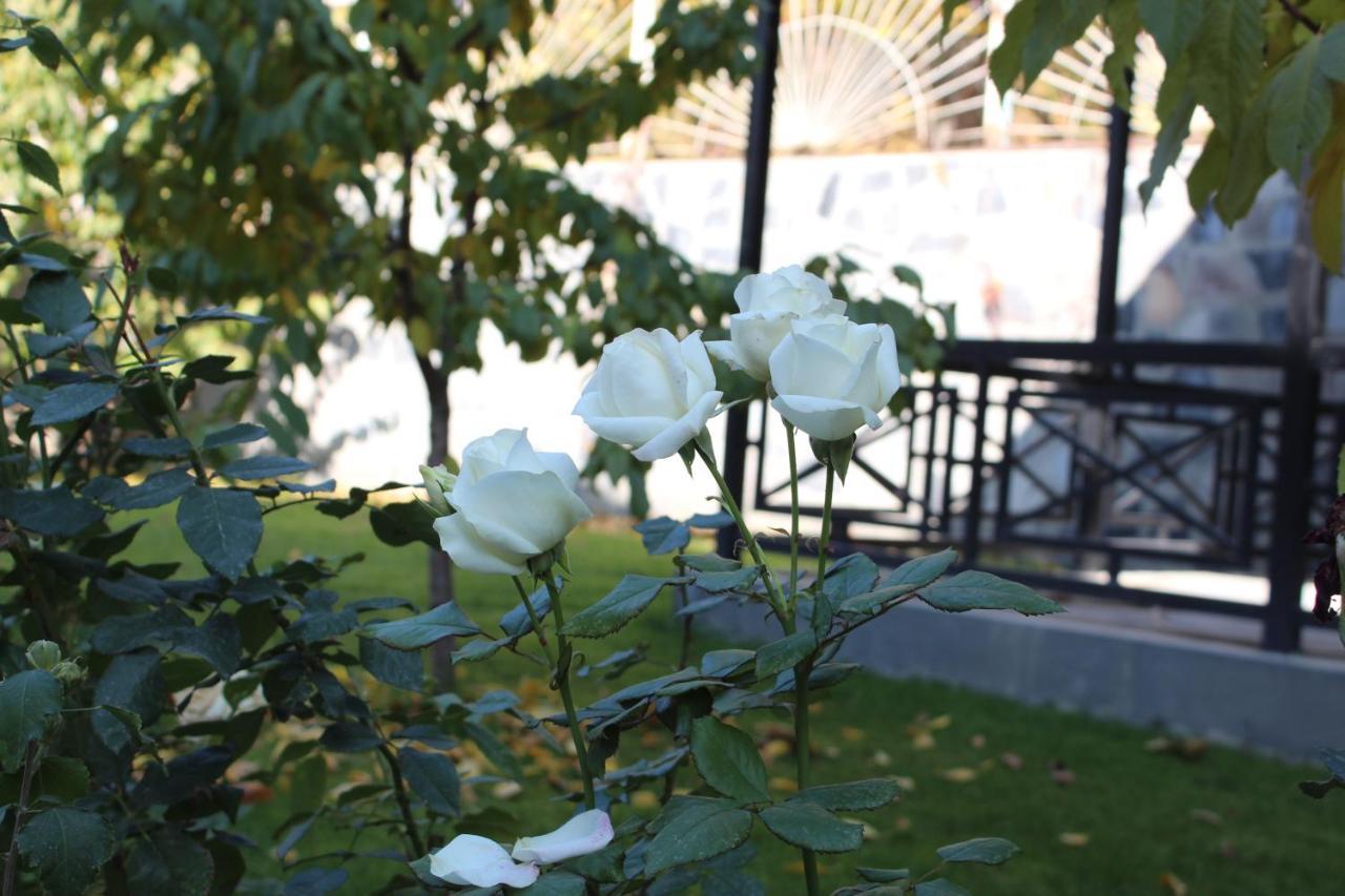 Cherry Garden Boutique Hotel Yeghegnadzor Zewnętrze zdjęcie